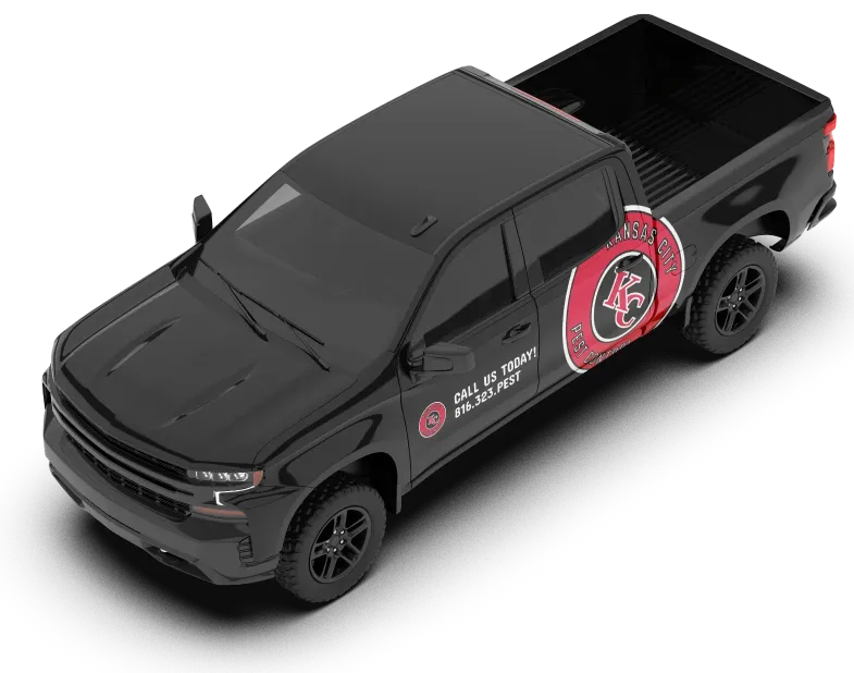 Blue Springs Exterminator